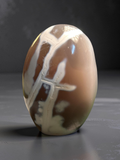 Orca Agate Free Form